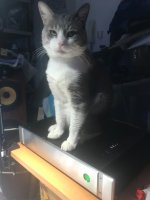 IMG_8925.jpeg