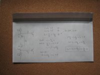 krill calc photo.jpg