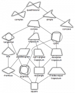 quadrilateral_hierarchy.png