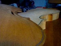 violin ny.jpg