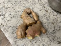IMG_1290.jpeg