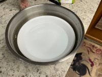 IMG_1294.jpeg