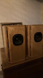 IMG_2641.jpeg