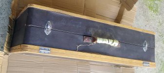 IMG_20250204_115618.jpg