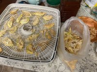 IMG_1397.jpeg