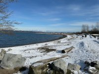 IMG_1387.jpeg