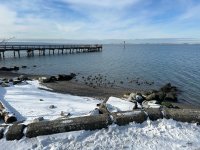 IMG_1388.jpeg