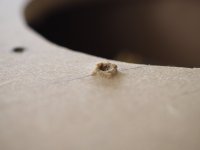HBW-08-02.jpg
