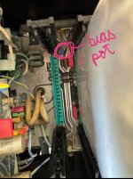 IMG_4456.jpeg