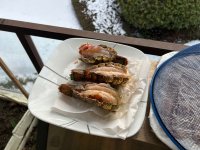 IMG_1436.jpeg