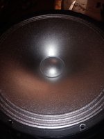 IMG_20250221_172953.jpg
