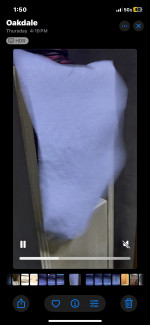 IMG_2550.png