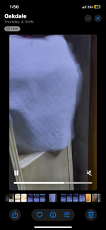 IMG_2549.png