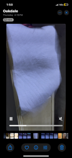 IMG_2548.png