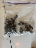 IMG_1672.jpeg