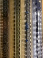 IMG_6538.jpeg