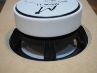 DDBH-B15-ML-08.jpg
