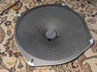 PXL_20250226_182741318.jpg