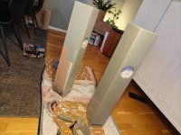 IMG20250302170404.jpg