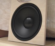 woofer mounted.jpg