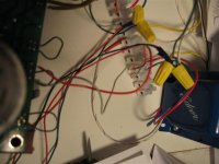 img_5542 (small).jpg