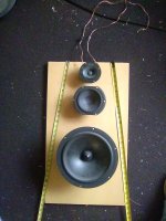 20250313_100257.jpg