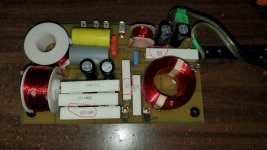 PSB Goldi crossover_15_edited.jpg