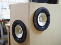 DDVP-1303-WHIM-07.jpg