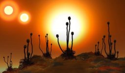 Vampire Weed on Proxima Centauri b.jpg