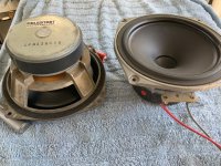 IMG_1875.jpeg