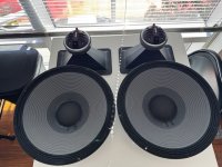 IMG_0923.jpeg