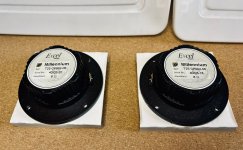 IMG_1977.JPEG