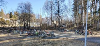 Halssila 030425.jpg