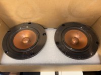 IMG_6042.jpeg