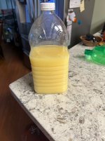 IMG_0128.jpeg