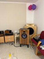 IMG_3594.jpeg