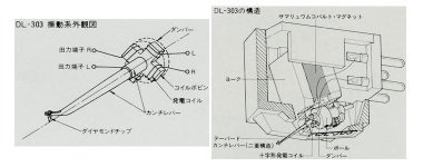 dl303.jpg