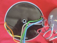 IMG_20250307_114413.jpg