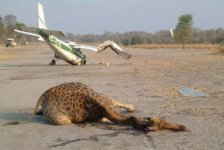 humans sometimes makes sh--.jpg