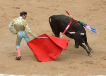 corrida.jpg