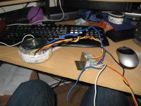 IMG_3177 (Small).JPG