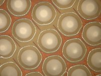 PCB-HT-Isolation-01.jpg