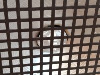 IMG_20250427_183058.jpg