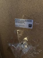 IMG_6884.jpeg