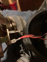 IMG_6886.jpeg