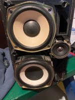 IMG_6885.jpeg