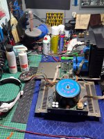 IMG_2431.jpeg