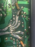 IMG_7955.jpeg