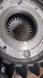 PXL_20250321_082353575.MP.jpg