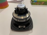 IMG_8935.jpeg